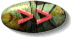bouton avance.gif (2919 octets)