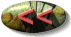 bouton retour.gif (2841 octets)