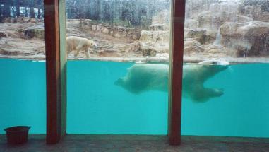Zoo d'Amnville 2001